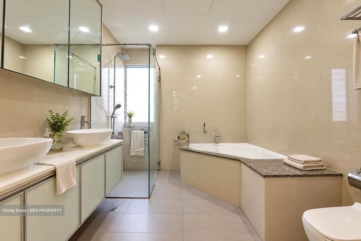 Regency Park (D10), Condominium #635095301
